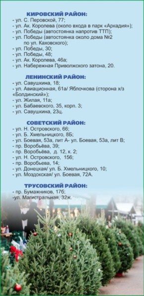 Игорь Редькин: В этом году для продажи новогодних елок выделили более 20 площадок по городу