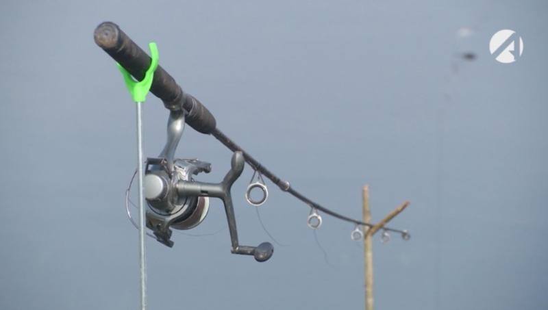 Временный запрет на вылов щуки вводится в Астраханской области