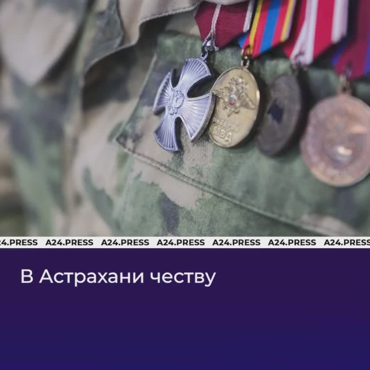 В Астрахани 15 декабря откроют 20 площадок для торговли ёлками и другими новогодними деревьями