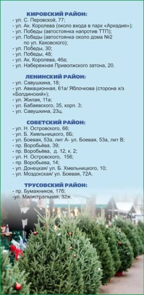 Работа елочных базаров в полную силу развернется в Астрахани с 15 декабря