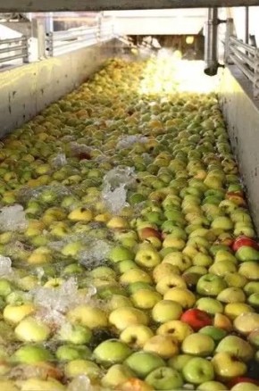 �� ������������ ������ ������������� �������� ����