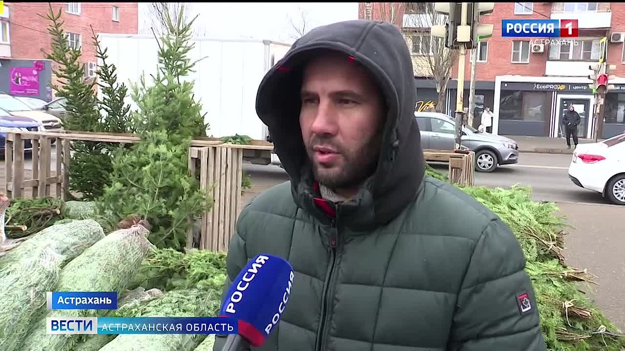 В Астрахани заработали первые официальные ёлочные базары