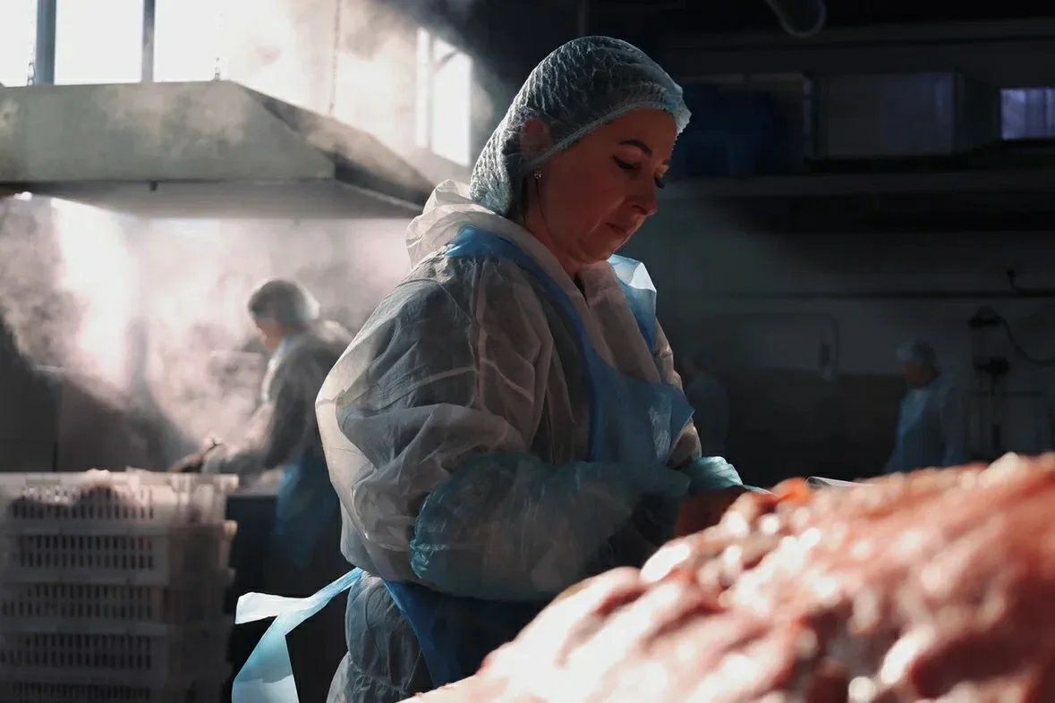 Вкус, не знающий границ: как астраханское предприятие покоряет зарубежный рынок Вкус, не знающий границ: как астраханское предприятие покоряет зарубежный рынок