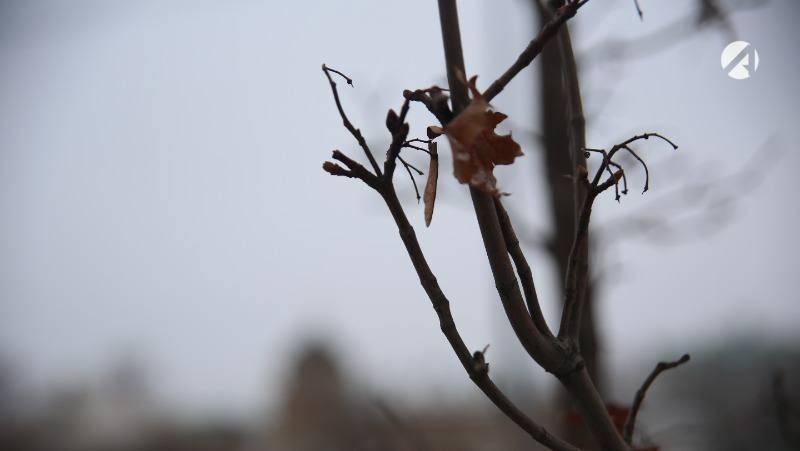 14 декабря в Астрахани прогнозируют шквалистый ветер