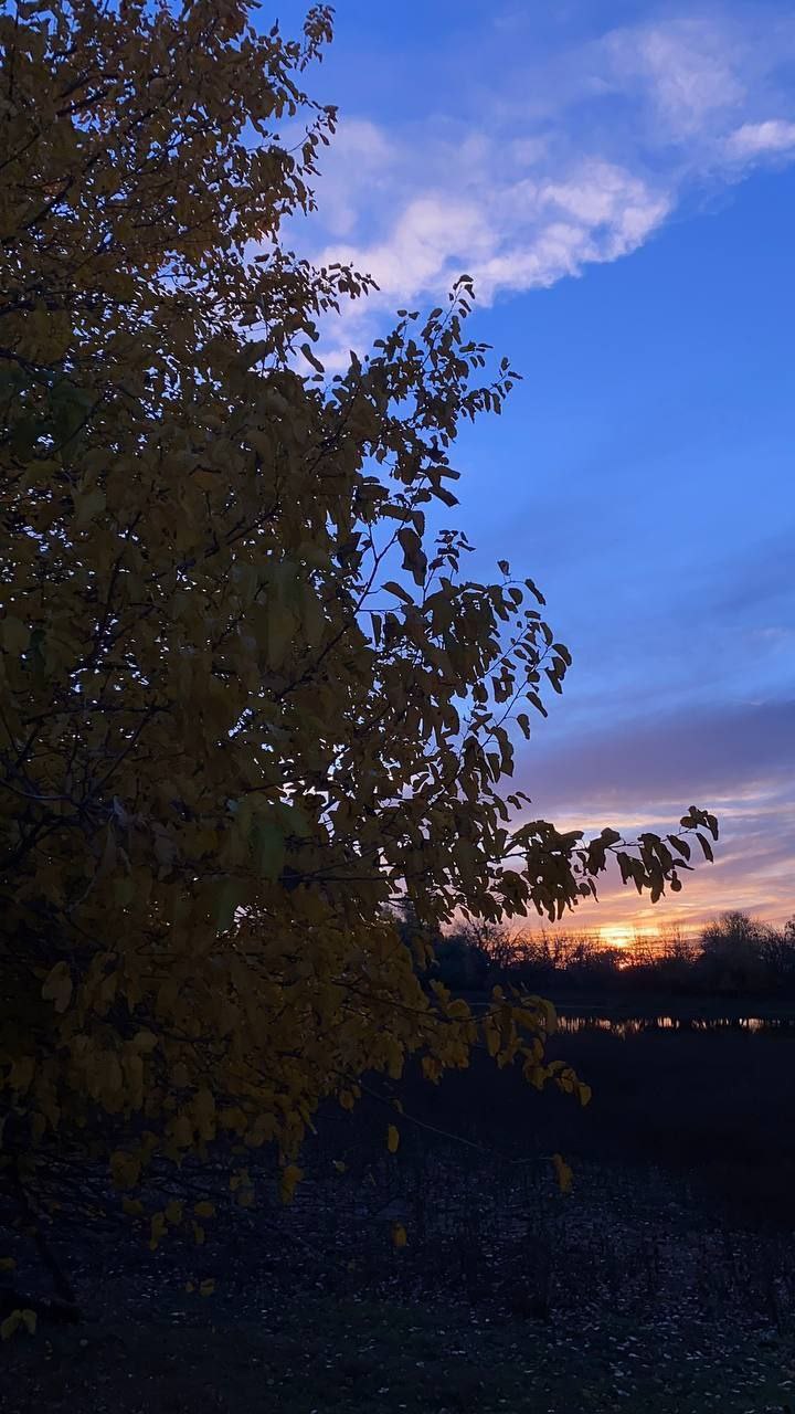 И по традиции под конец недели ловите новую фотоподборку рассветов и закатов И по традиции под конец недели ловите новую фотоподборку рассветов и закатов