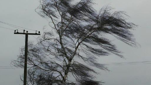 Ветер в Астраханской области завтра немного ослабнет