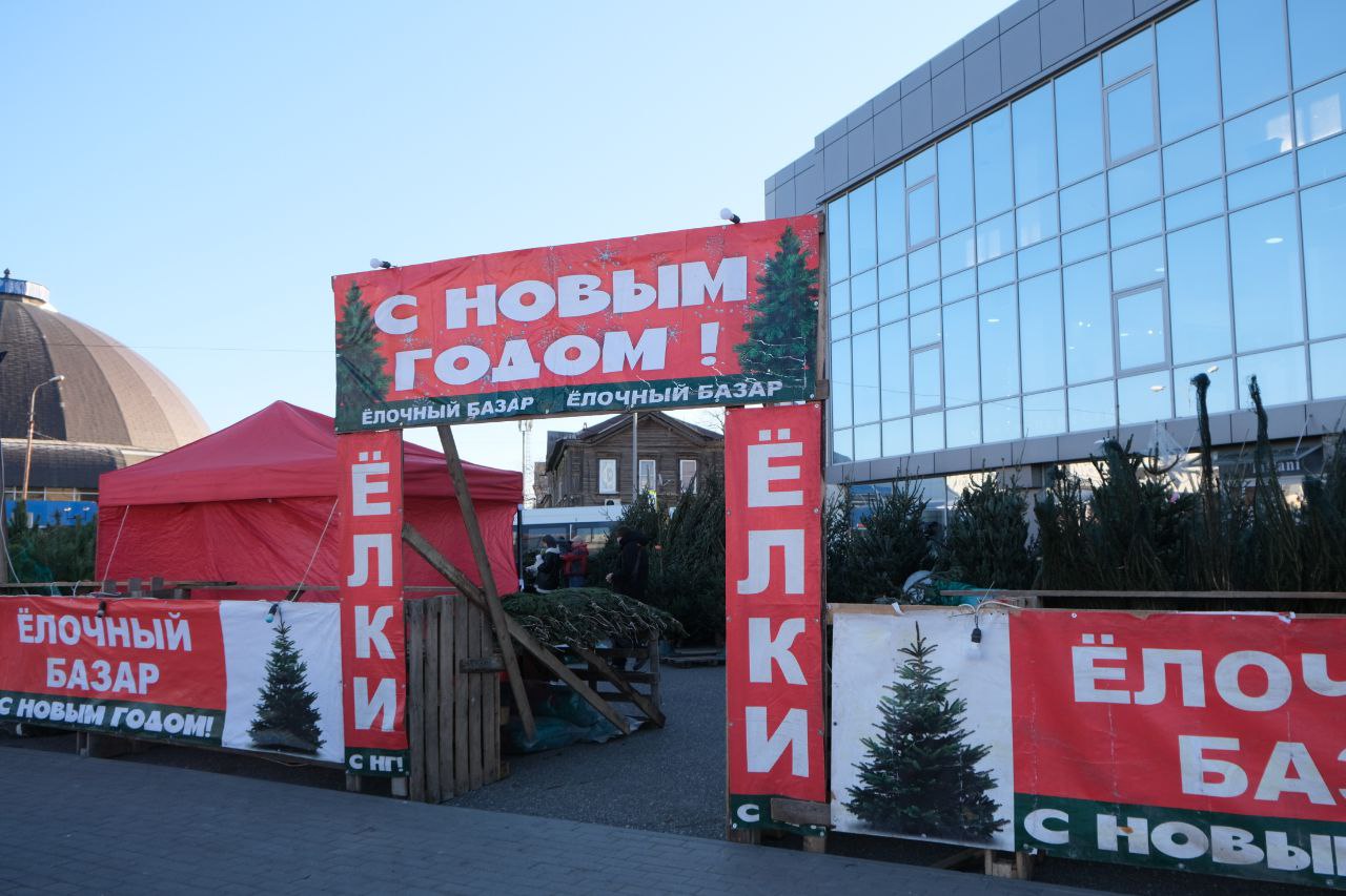 В Астрахани функционируют елочные базары
