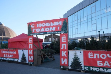 В Астрахани открылись 24 официальных елочных базара