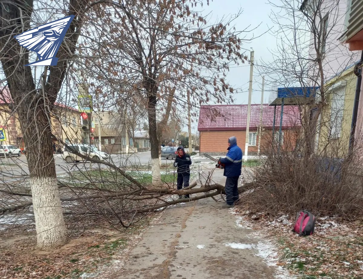 Итоги работы МКУ «Чистый город» в Ахтубинске за выходные