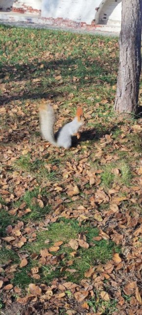 О погоде. Сегодня, по прогнозам синоптиков, будет малооблачно