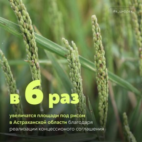 ����������� � ���� �� ������������ ����������� �������