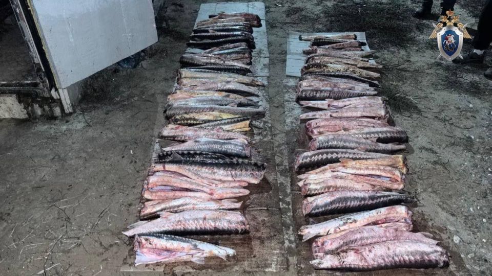 ���������� ��������� �� ���������� ����� ������ � ����������� ������