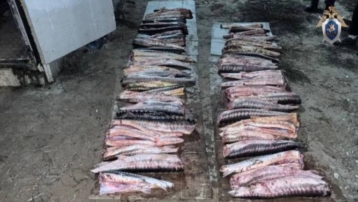 ������������ ��������� ������� ����� ����� ��������� ���