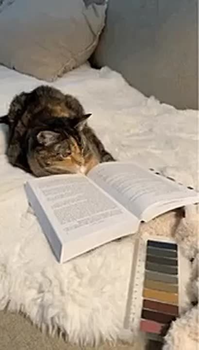 25 % ������� �������� ����� ��� ������ ���� � ������ �������� ���