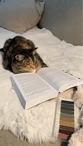 25 % ������� �������� ����� ��� ������ ���� � ������ �������� ���