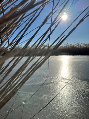 � ������. ������� ��������� ���������� ����������, ��� ������������ �������