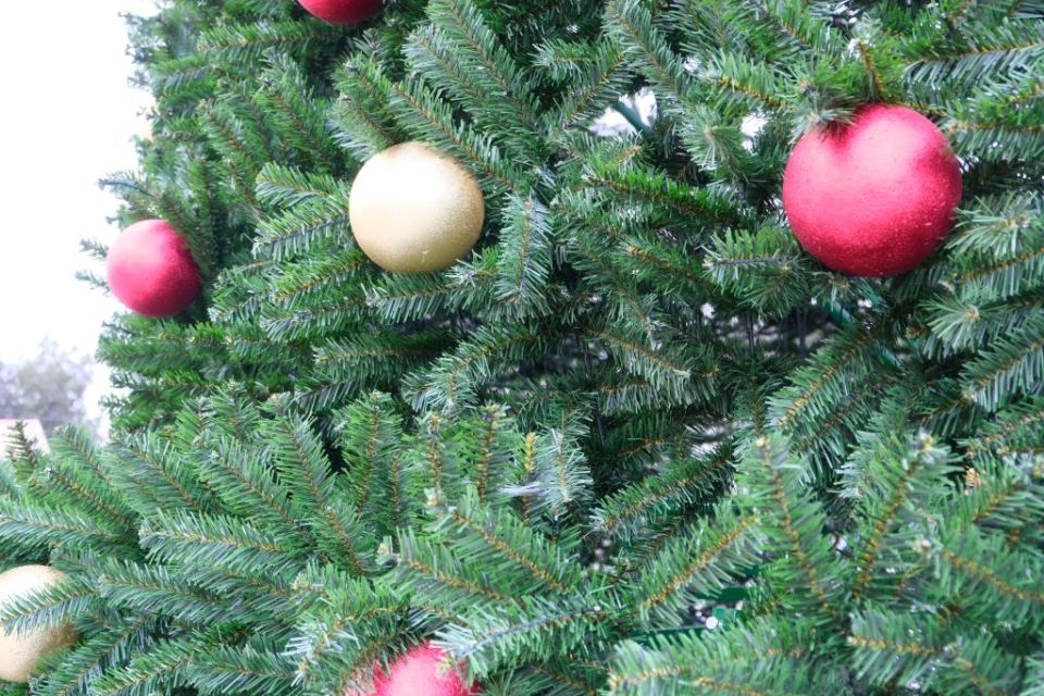 � ��������� ������ ���� �� ������� ���� 19 �������