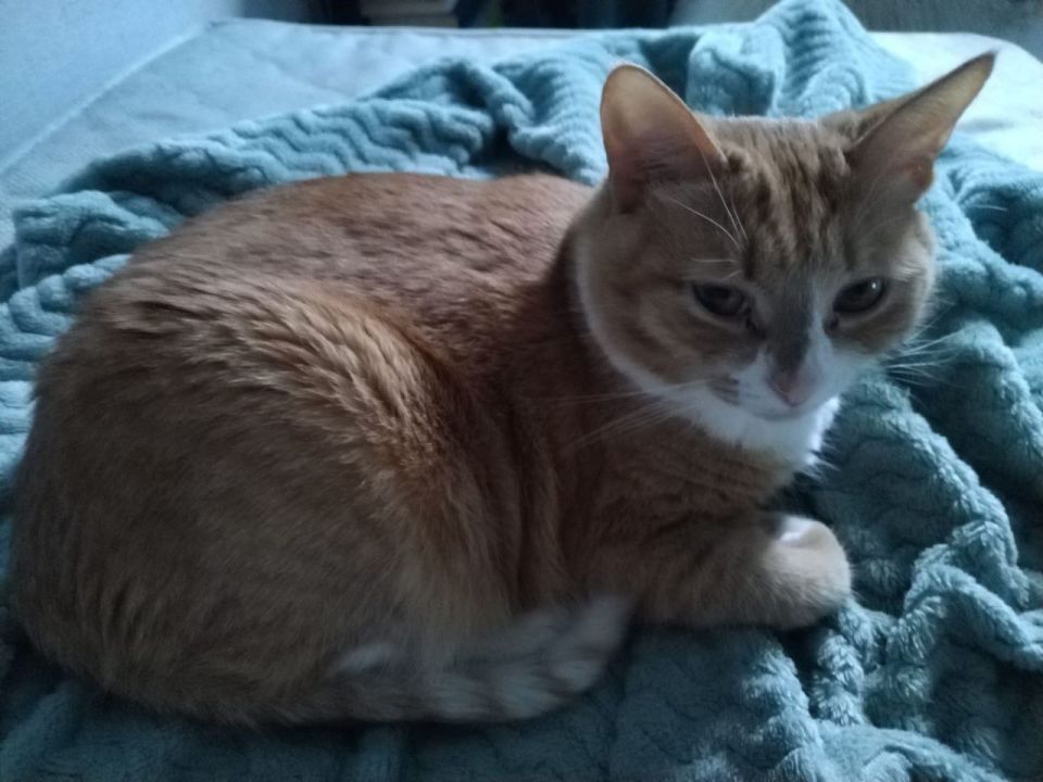 � ������. ������� ����� ������� � ������������