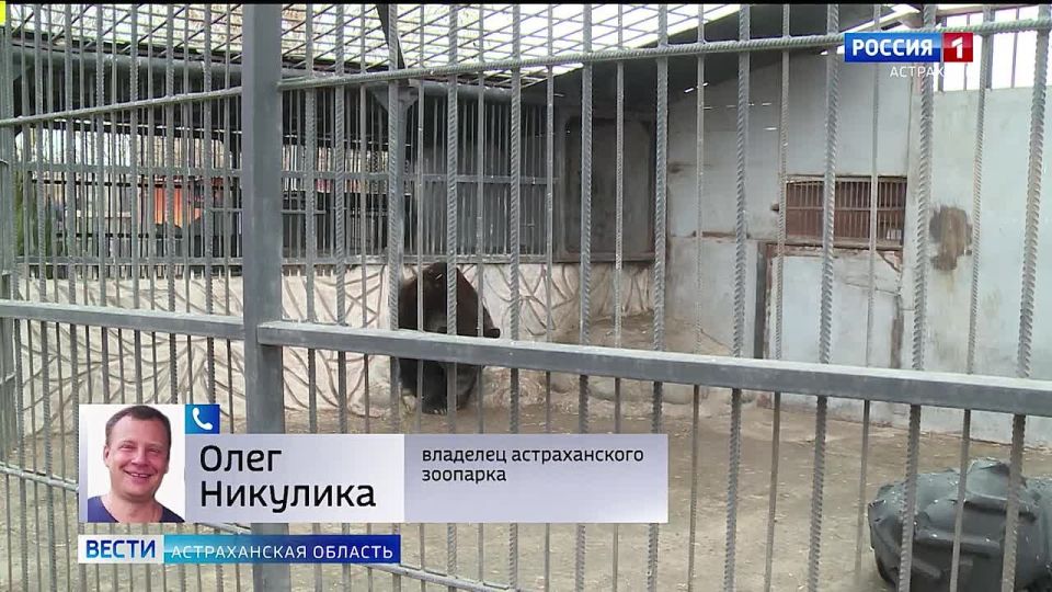 ����� ����� ������ ������� �������-���� ���� � ������