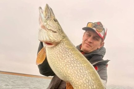 �������� ������� ���� ���� � ������������ ������� ������������� ����� ��������� ����� �������� ������� �� ������ �������