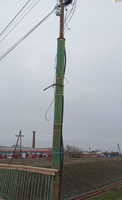 � ���������� ������������ ��������� ��������������� �� ��������� ����������