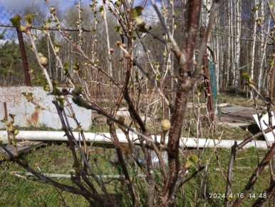 ��� �������� ������ ��������� �� ��������� �����: ������ ���������