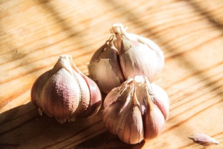 ��� �����������, ������� ������� ���� ������ �����: ����, �� �������� ���������� ����������