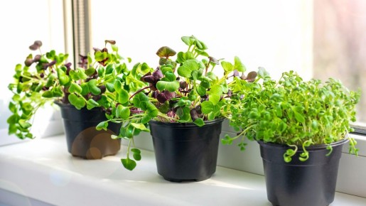 ������� �� ���������: ��� �� ���������� ������ � ��������� �������� ������ ������