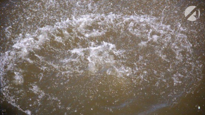 � ����������� ������ ���� ���� ������