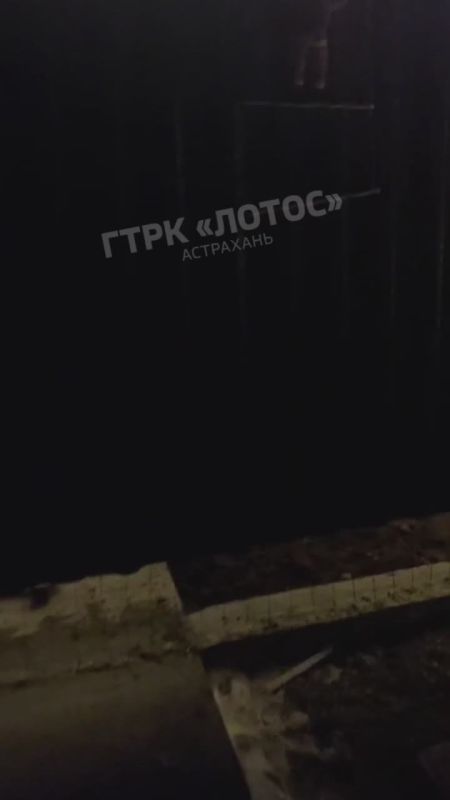 ��� ����� ���������� �������� ���������� ������ ���� ��������