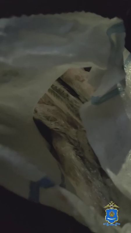 � ������������ ������� �������� ����������� ���������� ������������ �������� � ������ ���������� �������������