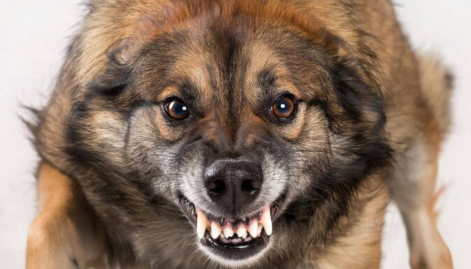 ������ ������������� ��� ����� ���������� � ���� ������� � ���� ������� ������������� ���������� ���� � ���������� ������ �� ��������� �������� �����