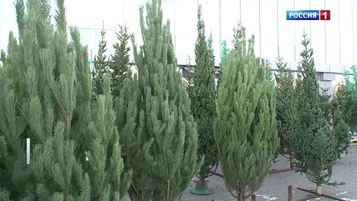 �� ������ �� �����, ������������ �� ������� �������, ������� �������� ��������