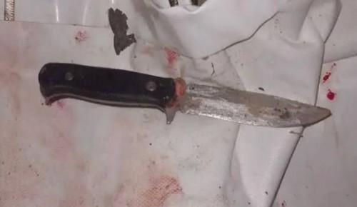 ������ ������������ ��������� ������� �� ������ ����������