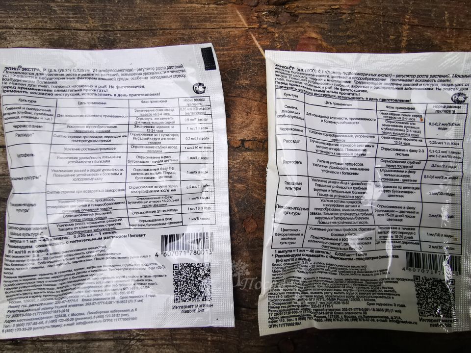 ��� ��������� ������������ ���� � ������ ��� ������ ����: ������ � �����������