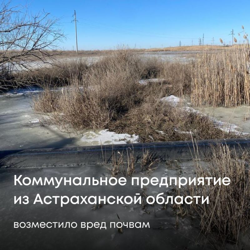 ��� ������ ��� ����� �������� ������������ ������� ������������� ��������� ���������� ������������� ����