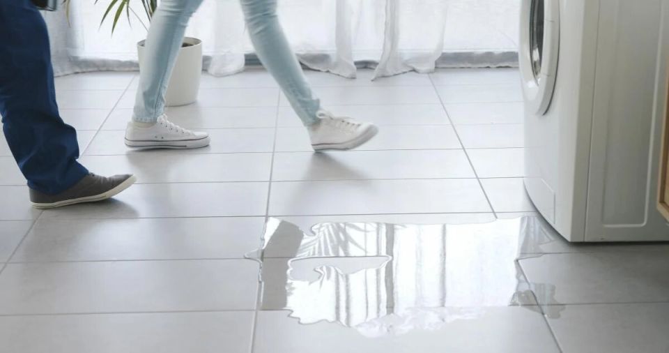 ������� �������� ���������� ������: ���, ��� ����� �����