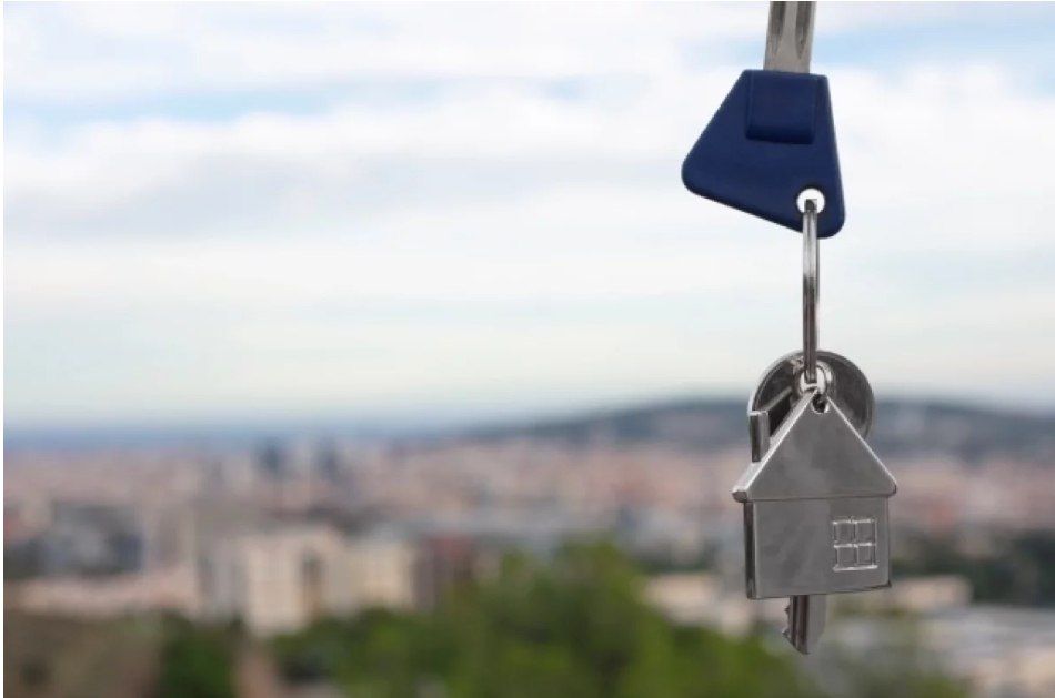 ����������� ��������� ����� 20 ��� ������ �� ��������� �����