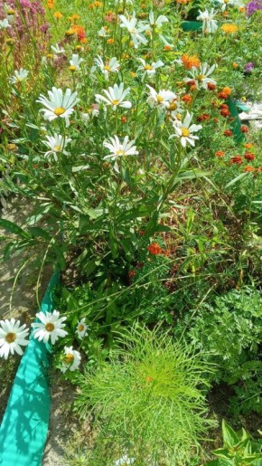 � ������ ���������� �� �������� �����: ����� ������� ��� �������������?