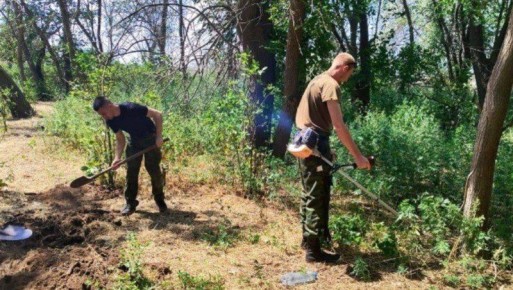 � ��������� ���������� ����� 6000 ��. � ������������ �������