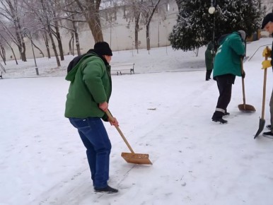 ������������� ������� �������� ���� � ������������ ������������� ��������� � ������������ ����������������� ������ ������