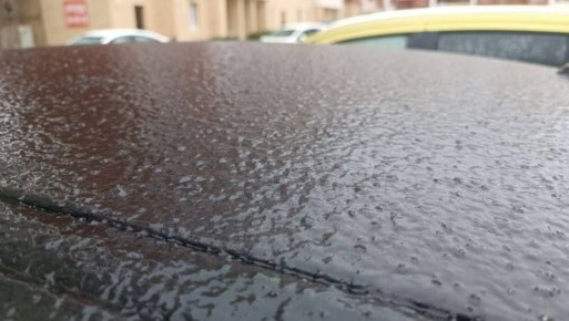 ����������� ������������� � ���������� 29 �������