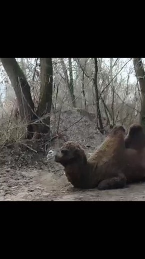 ������������ ������������� ����?