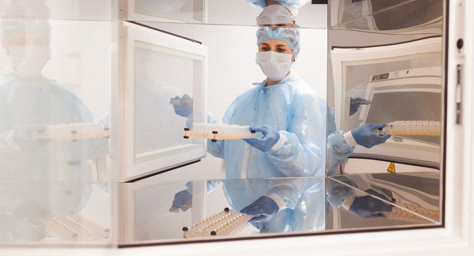 ������� �������� ������������ ���� ����������� ���������� ������������