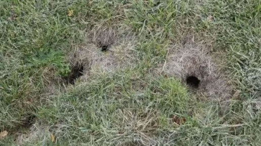 ������ ���� �� �����: ������� ������ ��� ��������