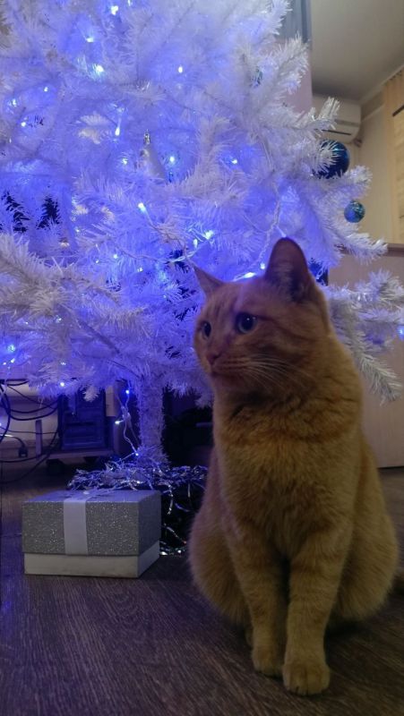 � ������. ������� ������� �� ������� �������������� ����