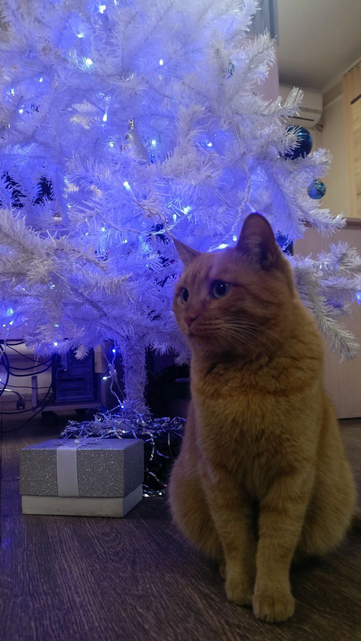 О погоде. Сегодня местами по региону прогнозируется снег