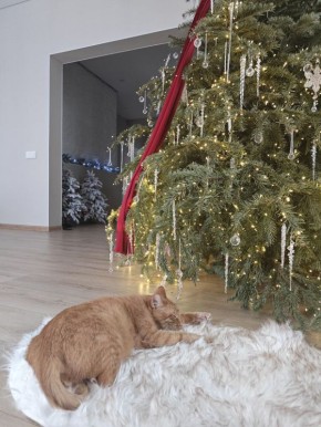 � ������. � ��������� ���� 2025 ���� �������������� ������ � ��������� ����, � � �������� ����� ������� - ���������