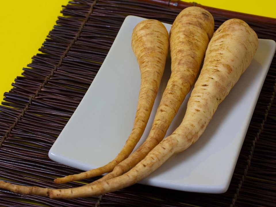 ������ ��������� ������������ �� �������: ����������� ������������ ����� �������� �����