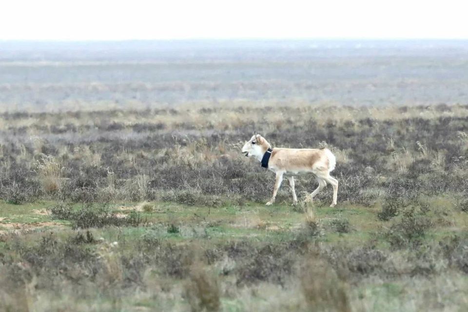 � �������� �������� ������������ ������� ��������� �������� �������